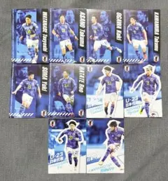 日本代表チップス 10枚