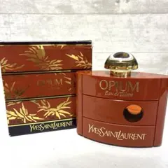 YSL CHAMPAGNE シャンパーニュ オーデトワレ 100ml容量 箱袋付 - メルカリ