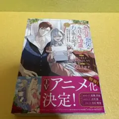 無自覚聖女は今日も無意識に力を垂れ流す　７巻