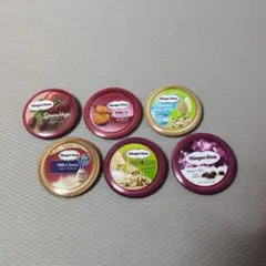 ハーゲンダッツ 　缶バッジセットのサムネイル