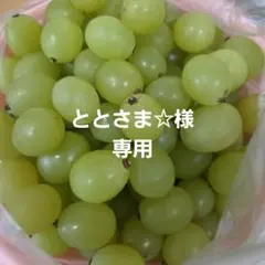 ととさま☆様専用