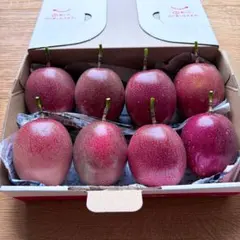 月末特価★【農薬不使用】奄美大島産 完熟パッションフルーツ 中玉 8玉のサムネイル