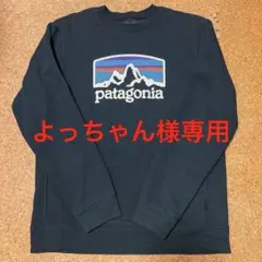 再値下げ！Patagonia スウェットシャツ