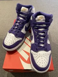 注目！　NIKE ナイキ　W DUNK HI SP ダンク　ハイ 26.5cm
