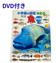 2026年最新】びっくり魚DVDの人気アイテム - メルカリ
