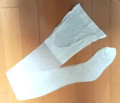 Item thumbnail for item 672c68c6-d0eb-4067-a494-434918a16468