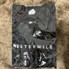 Item thumbnail for item 46477da0-8dc0-4b63-8029-43084250c7b3