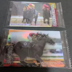 サラブレッドホースコレクション 第3R フサイチパンドラ　ソングライン