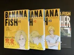 56さん専用 Banana fish マックス・ロボの手記 全4巻 小説 - メルカリ