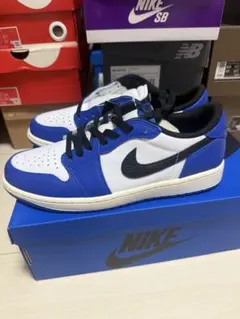 早いもの勝ち‼️AIR JORDAN 1✨GAMEROYAL✨✨W26.5cm Patta × Nike Air Max 1 Chlorophyll