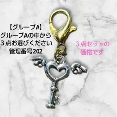ハンドメイド 管理番号202 カスタムチャーム ３点セット価格 バラ売り不可