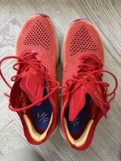 Nike VAPORFLY 3