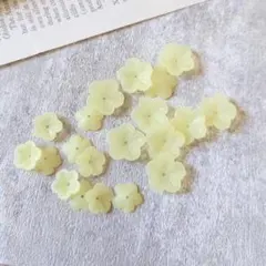 国産フラワーさくら mix イエロー