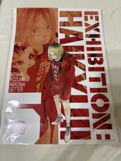 2026年最新】ハイキュー展ポスターの人気アイテム - メルカリ
