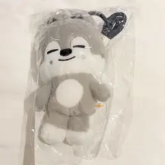 SKZOO DWAEKKI クロスバッグ ソウルコン トレカ無し - メルカリ