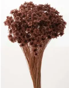 まみぃ様 リクエスト 2点 まとめ商品