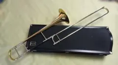 Item thumbnail for item f41e89d6-20fb-4518-85c5-acedc84751df