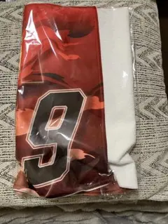 Item thumbnail for item 4ba3cb9a-c0fb-4aa2-9b00-e146a915614e