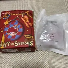 ［明日発送］モリー