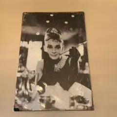 Item thumbnail for item 8725fd82-8ced-4387-911c-f55af3a4efde