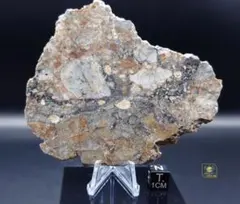 4179 天竜川大ジャグレ真黒石 天龍川石 天竜川石 ウブ 置物 自然石