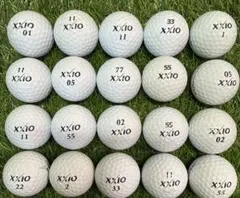 Item thumbnail for item 8c485c40-4976-4f1b-8506-e05559ad1b60