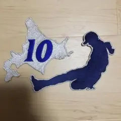 北海道日本ハムファイターズ 西川遥輝 FAV限定 グリッターワッペン