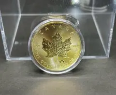 カナダmaple現代金貨アンティークコイン記念硬貨コレクション旧通貨