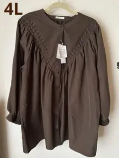 新品ブラウス シャツ V切替ピンタックアレンジterawear emu 4L