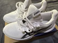 asics ソリューションスピード 25.0cm オムニ・クレー