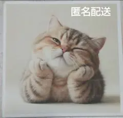 2026年最新】ペーパーナプキン デコパージュ 猫の人気アイテム - メルカリ