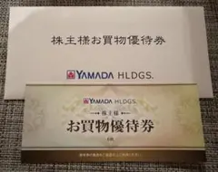 ヤマダ電機　株主優待券　3000円分