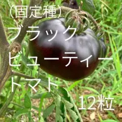 ちいこ様 リクエスト 2点 まとめ商品