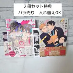市川けいストレイバレットベイベーこいのこころのむこうがわそれを恋心と呼ぶ