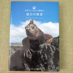 Item thumbnail for item 8ad8e36d-6158-454d-83f6-7dc7bba2d005