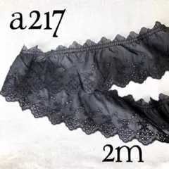 a217刺繍入り綿生地フリルレース黒（2m）