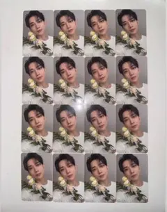 ジョシュア seventeen セブチ DEAR 封入 トレカ 16枚セット