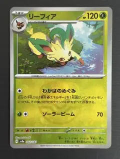2026年最新】ポケモンカード リーフィア マスターボールの人気アイテム