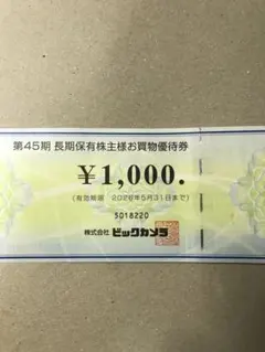 ビックカメラ 株主優待券 ¥1,000