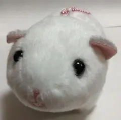 モルきゅん ぬいぐるみ マスコット アミューズ アミュファン もるきゅん
