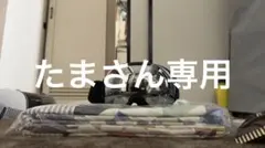 Item thumbnail for item 7058714c-be1e-436e-8c42-6680843715fe