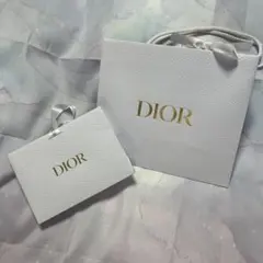ディオール　ショッパー　2枚セット