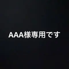 AAA様 リクエスト 2点 まとめ商品