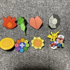 希少 ポケモン ジムバッジ カントー編 ポケットモンスター 初代 ナツメ サカキ ポケットモンスター ポケモンジムバッジ～カントー編