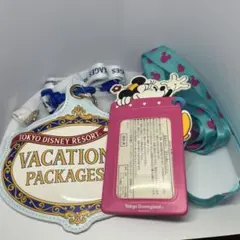 ディズニー　パスケース　バケーションパッケージ