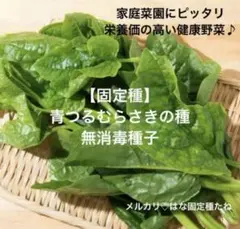 rikky.miki様 リクエスト 5点 まとめ商品