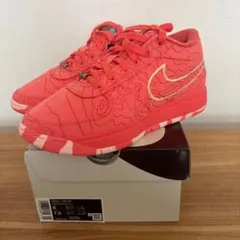 ピ*郎様 NIKE Book 1 セドナ 26.0 インソール新品 - メルカリ