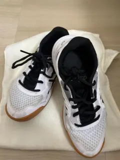 ASICS 室内シューズ