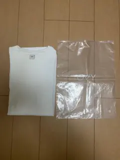 Item thumbnail for item cda3233c-f731-4cfc-ad16-0d09a9e44d55