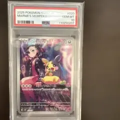 マリィのモルペコ　AR PSA10